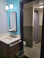 Baño con lavabo, espejo y zona de ducha.