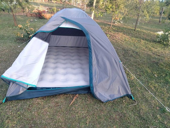 Tenda Basic | Halaman properti