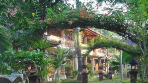 Khuôn viên nơi lưu trú