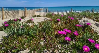 Family Home 200m from Beach, Parking, Terrace, 3 Bedrooms, Sleeps 6