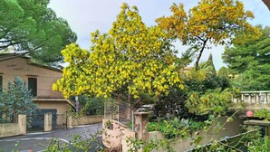 Un quartier résidentiel avec une rue bordée d’arbres, une route asphaltée et un immeuble doté d’un balcon.