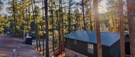 A cabin surrounded by tall pine trees with a metal roof and a small porch.