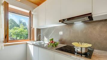 Appartement Familial, plusieurs chambres (Residenza Lugana - Apt 1) | Cuisine privée