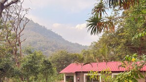Une maison avec un toit rouge, entourée d’un jardin où poussent différentes plantes et arbres, et qui offre une vue sur un paysage vallonné en arrière-plan.
