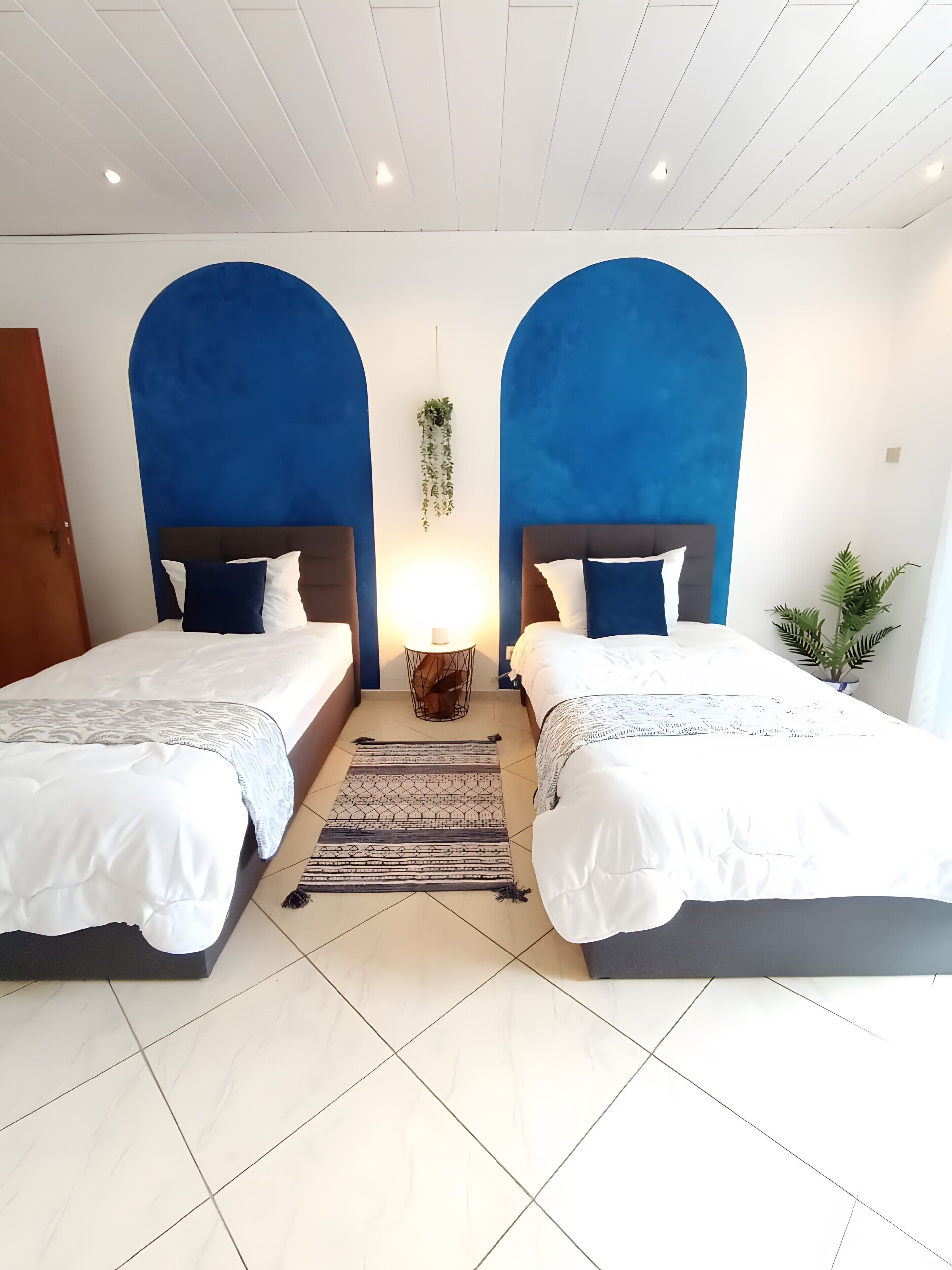 A double room with two beds, a hanging plant, and a bedside table with a lamp.
