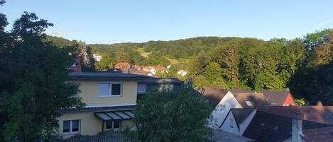 A residential area with houses, a fenced yard, and a hill in the background.
