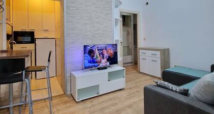 Mint Apartment Belgrade