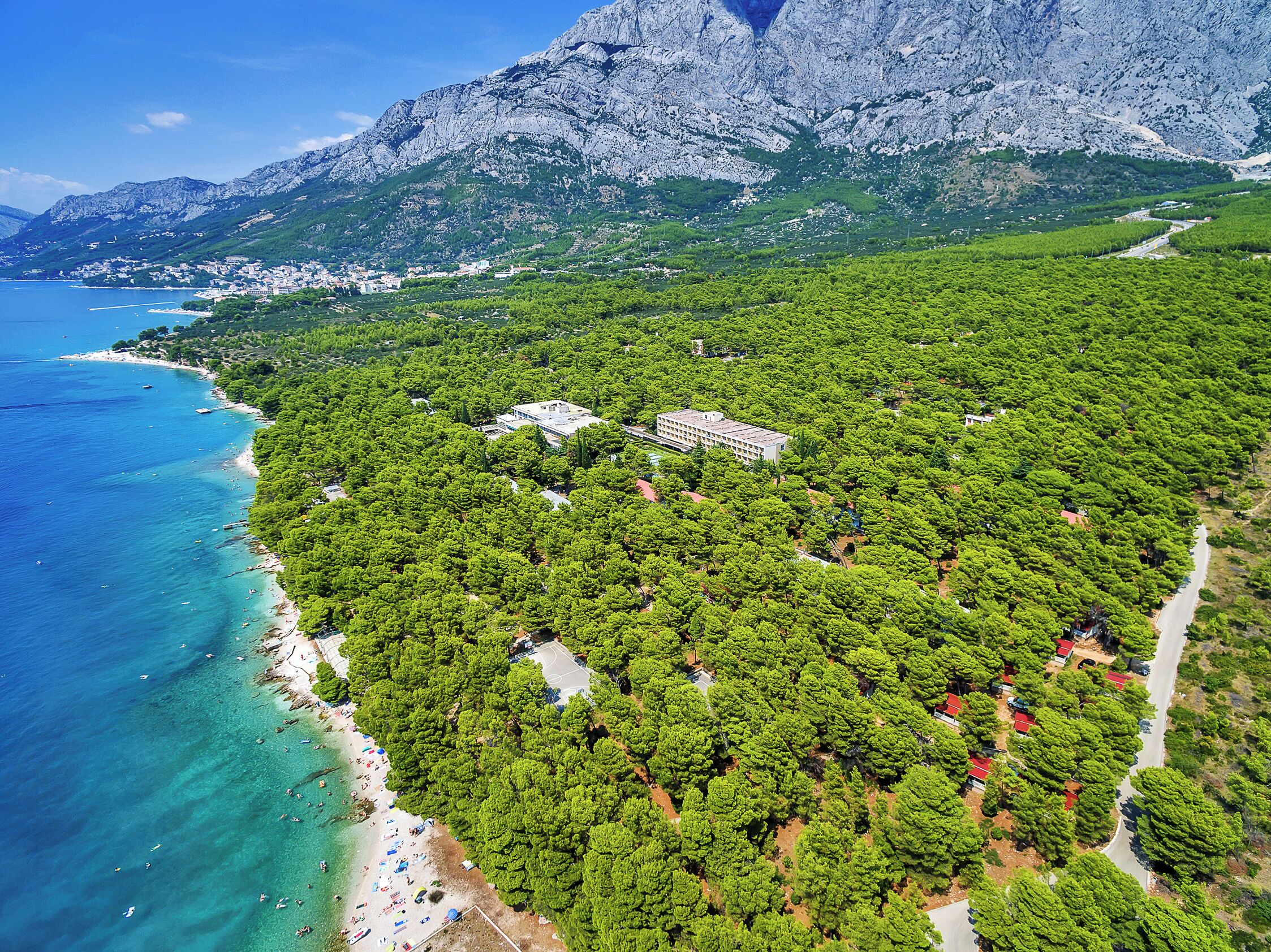 An aerial view of a coastal area with dense greenery, a beach, and a mountainous backdrop.