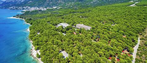 An aerial view of a coastal area with dense greenery, a beach, and a mountainous backdrop.