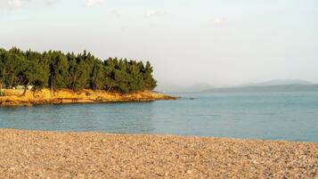 A pebble beach with a forested area and a body of water.