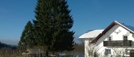 Eksteriør