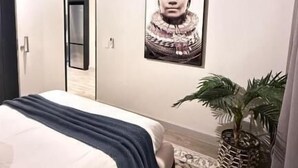 A bedroom with a bed, a large mirror, a wall-mounted picture, and a small potted plant. - The Henlee Apartment Sandton (Sandton)