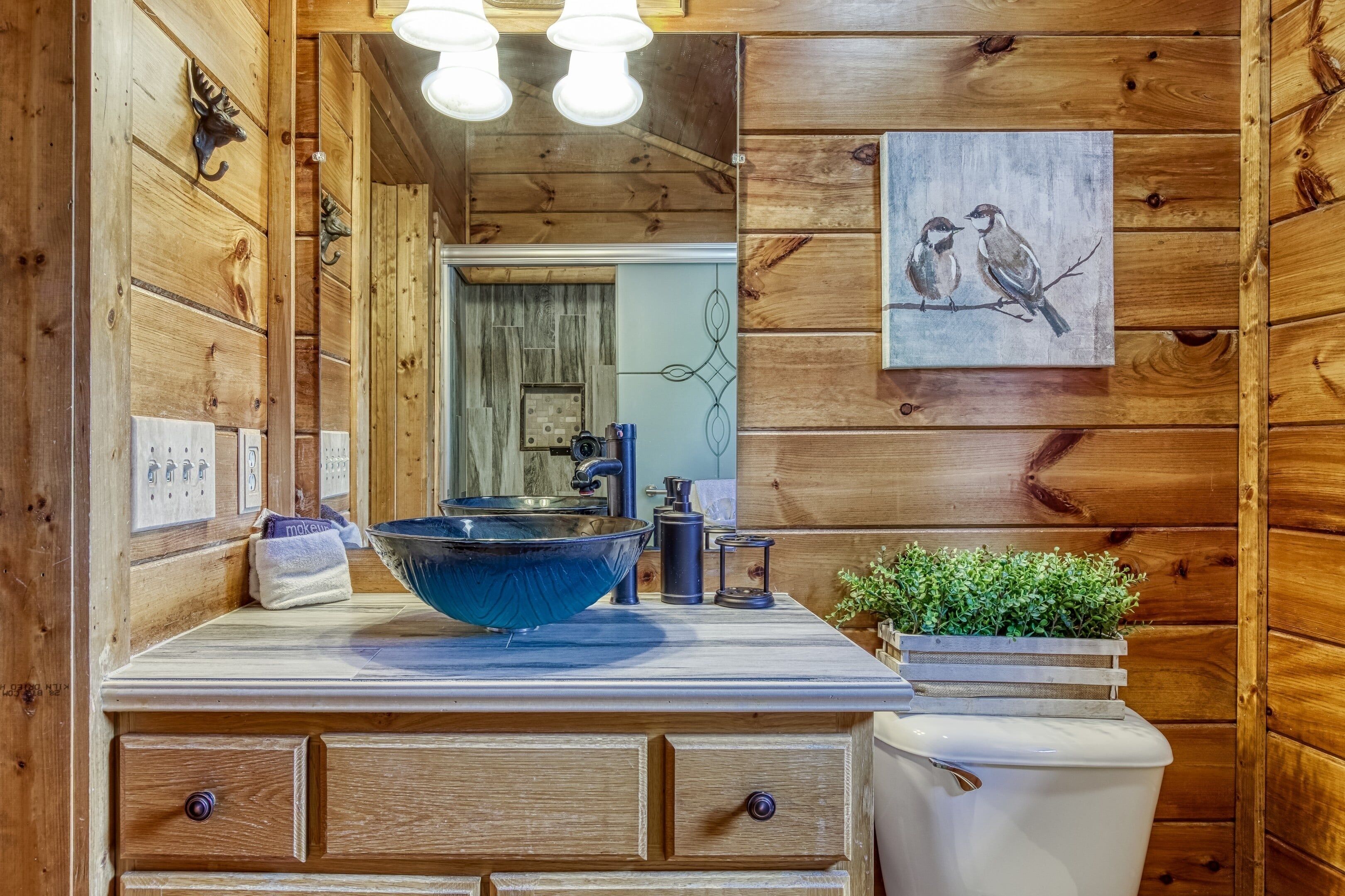 L’intérieur d’un chalet en bois, avec un meuble-lavabo en bois, un grand lavabo bleu, une petite plante en pot, un tableau représentant des oiseaux accroché au mur et une porte visible donnant sur une autre pièce.