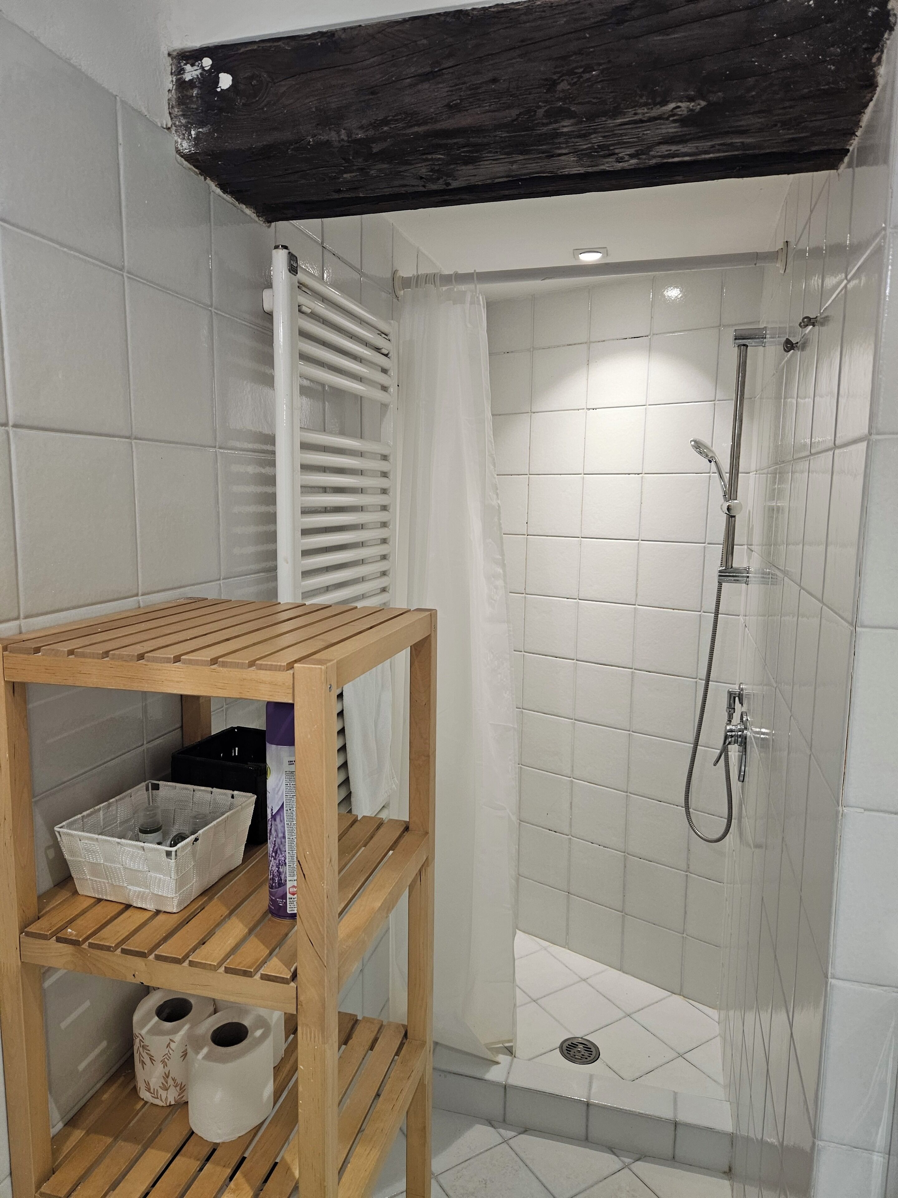 Regadera, secadora de cabello, bidet, toallas 