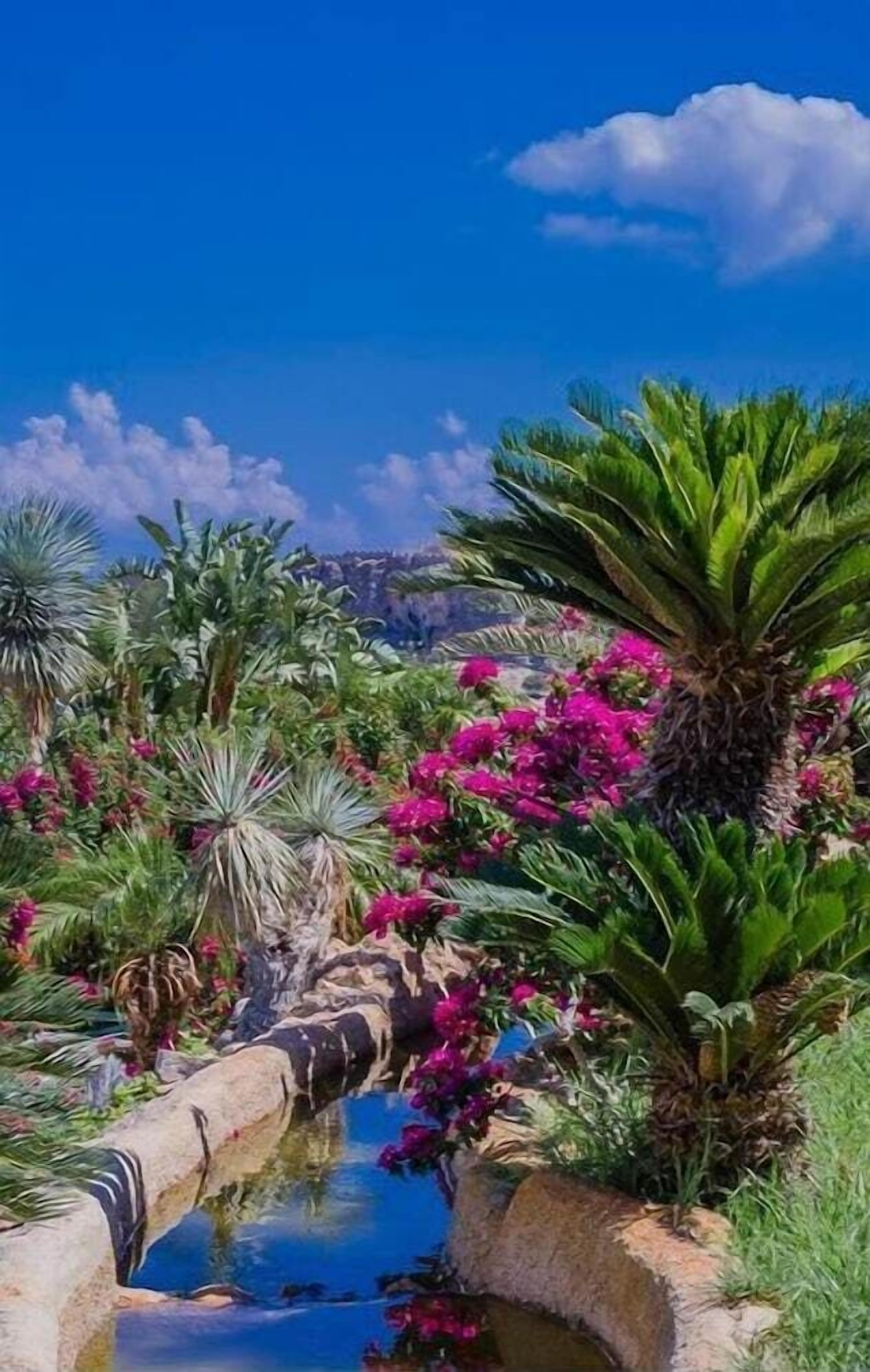 المنطقة المحيطة بالمنشأة