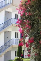 Detalle del exterior