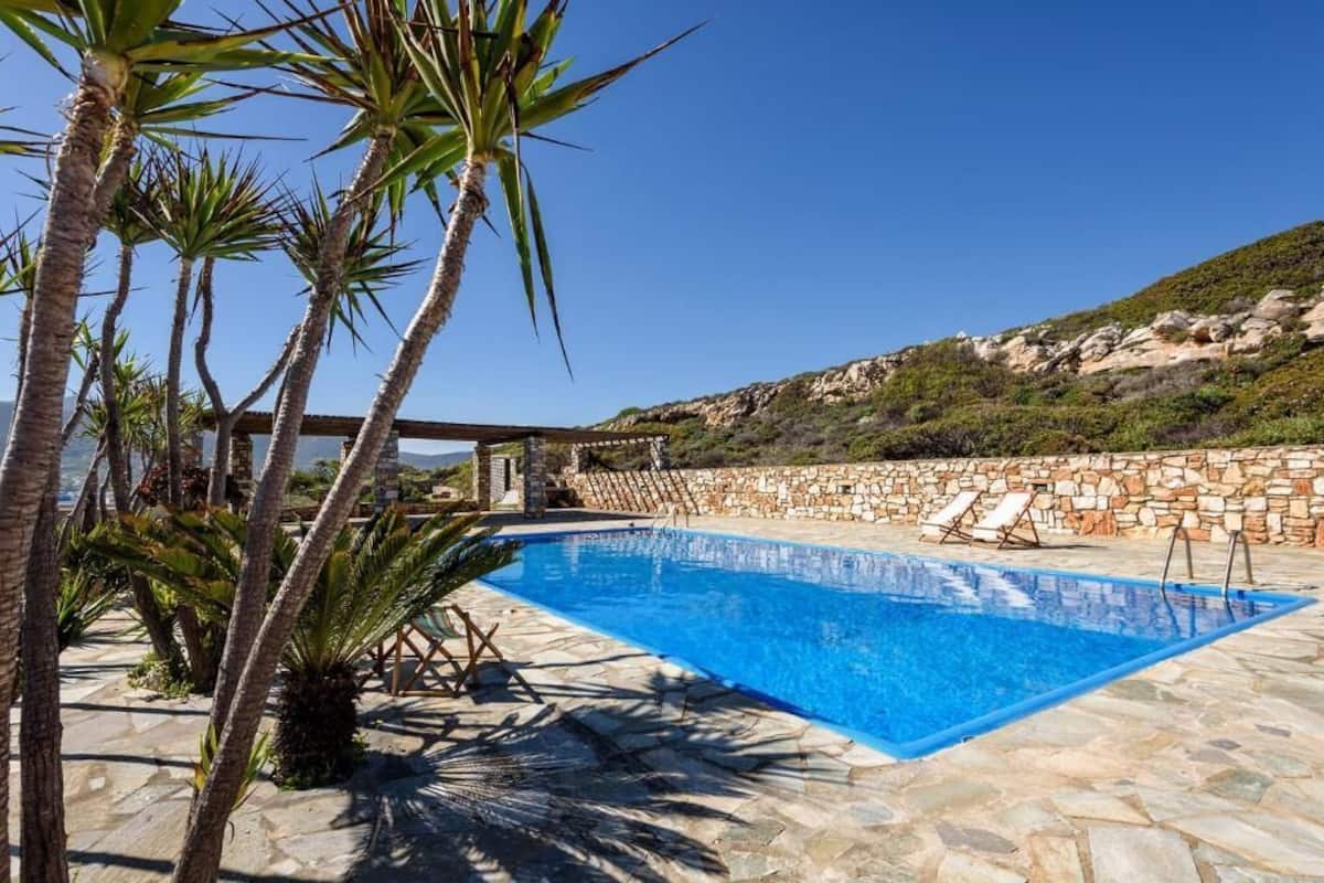 A rectangular pool with clear blue water, surrounded by stone tiles and palm trees.