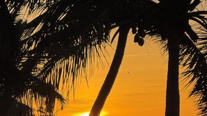 A sunset view with palm trees and the ocean. - Hamaca Amazing Ocean View 302 (Dorado)