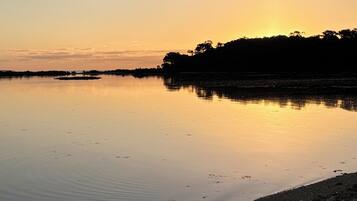 A calm body of water reflecting the sky, a distant shoreline with trees, and a dirt path leading to the water.