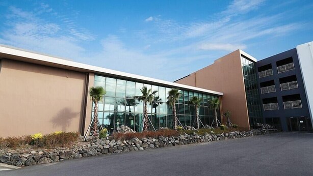 A modern building with a glass facade, palm trees, and a stone wall in front.