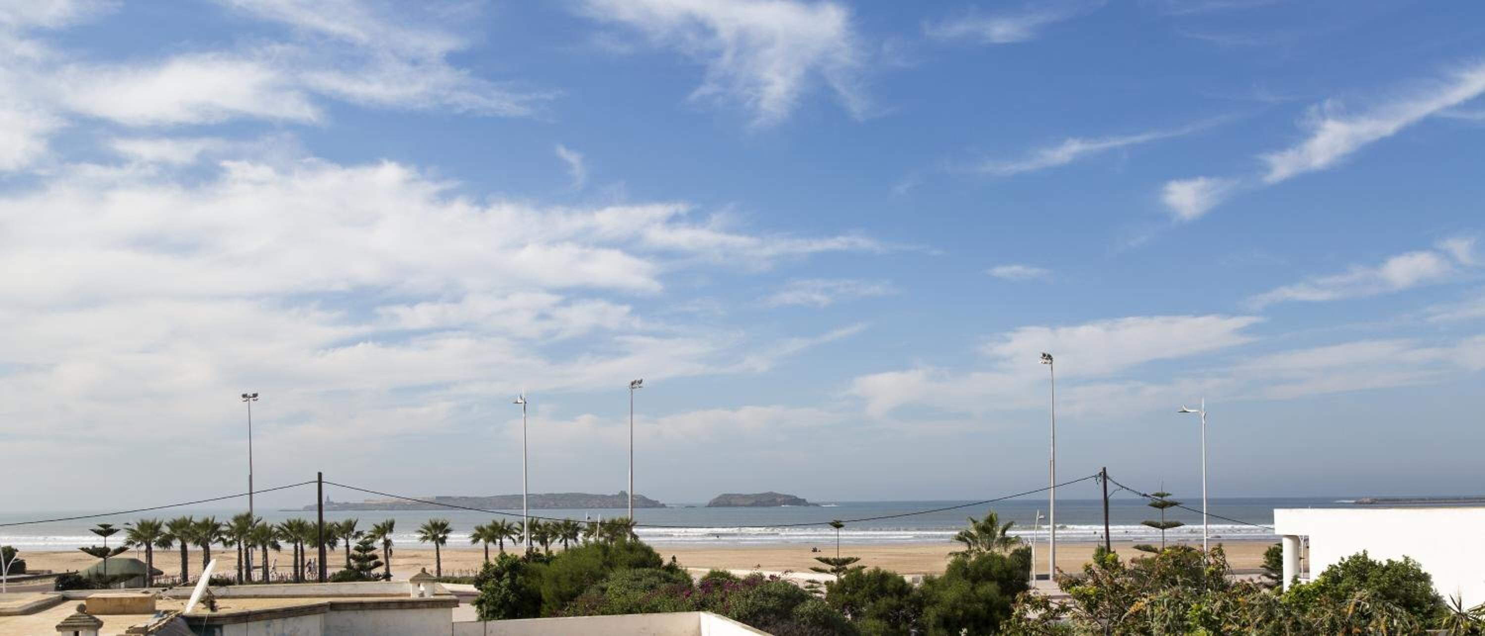 A beach view with a clear sky, palm trees, and a distant island.