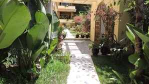 A garden pathway leading to a building with a covered entrance, surrounded by various potted plants and greenery. - Villa Quietta (Essaouira)