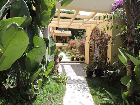 A garden pathway leading to a building with a covered entrance, surrounded by various potted plants and greenery. - Villa Quietta (Essaouira)