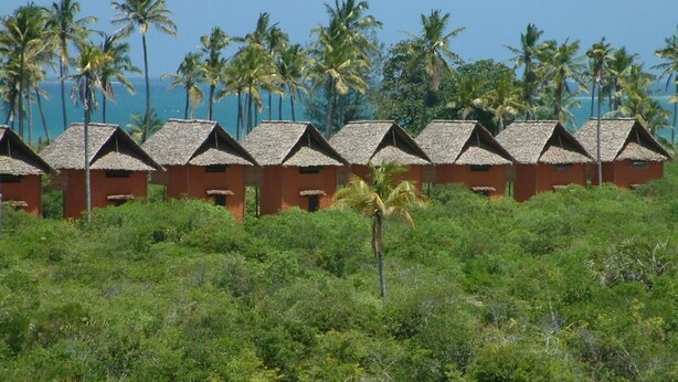 A row of thatched-roof huts with a view of the sea and palm trees. - Kipepeo Beach and Village (Dar es Salaam)