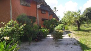 A traditional house with a thatched roof, surrounded by lush greenery and a clear path leading to the entrance. - Kipepeo Beach and Village (Dar es Salaam)