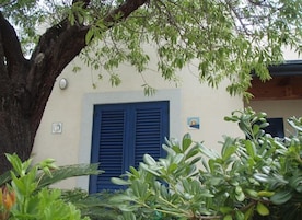 Un edificio con un gran árbol en primer plano, una ventana con contraventanas azules y un letrero pequeño en la pared.