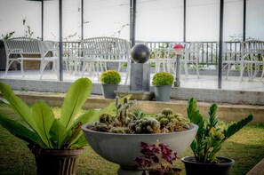 Terras