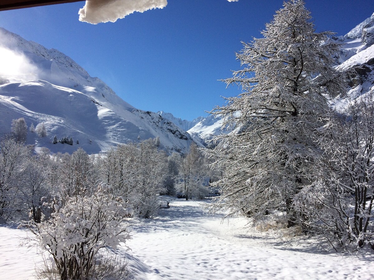 Imagen de perfil del propietario o de la propietaria