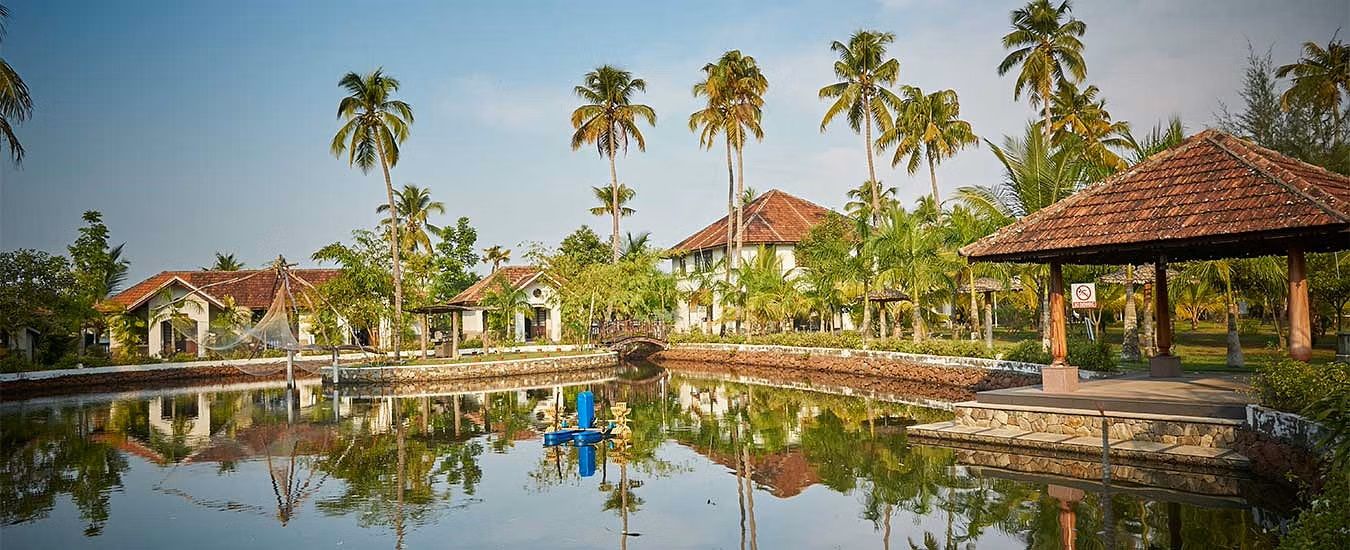 A resort with a swimming pool, palm trees, and traditional-style buildings.