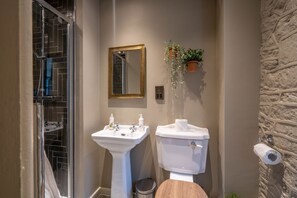 A bathroom with a pedestal sink, a toilet, a mirror, and a potted plant. - THE George INN (Bath)