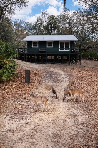 Peace on the River with deer