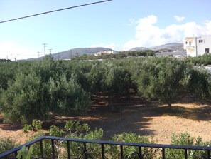 Property grounds - Iris Apartments and Rooms (Kantanos-Selino)