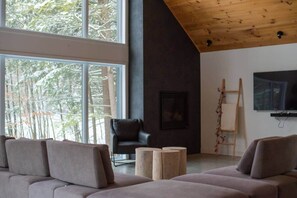 Tv, pejs, bordfodbold