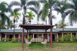 Khuôn viên nơi lưu trú