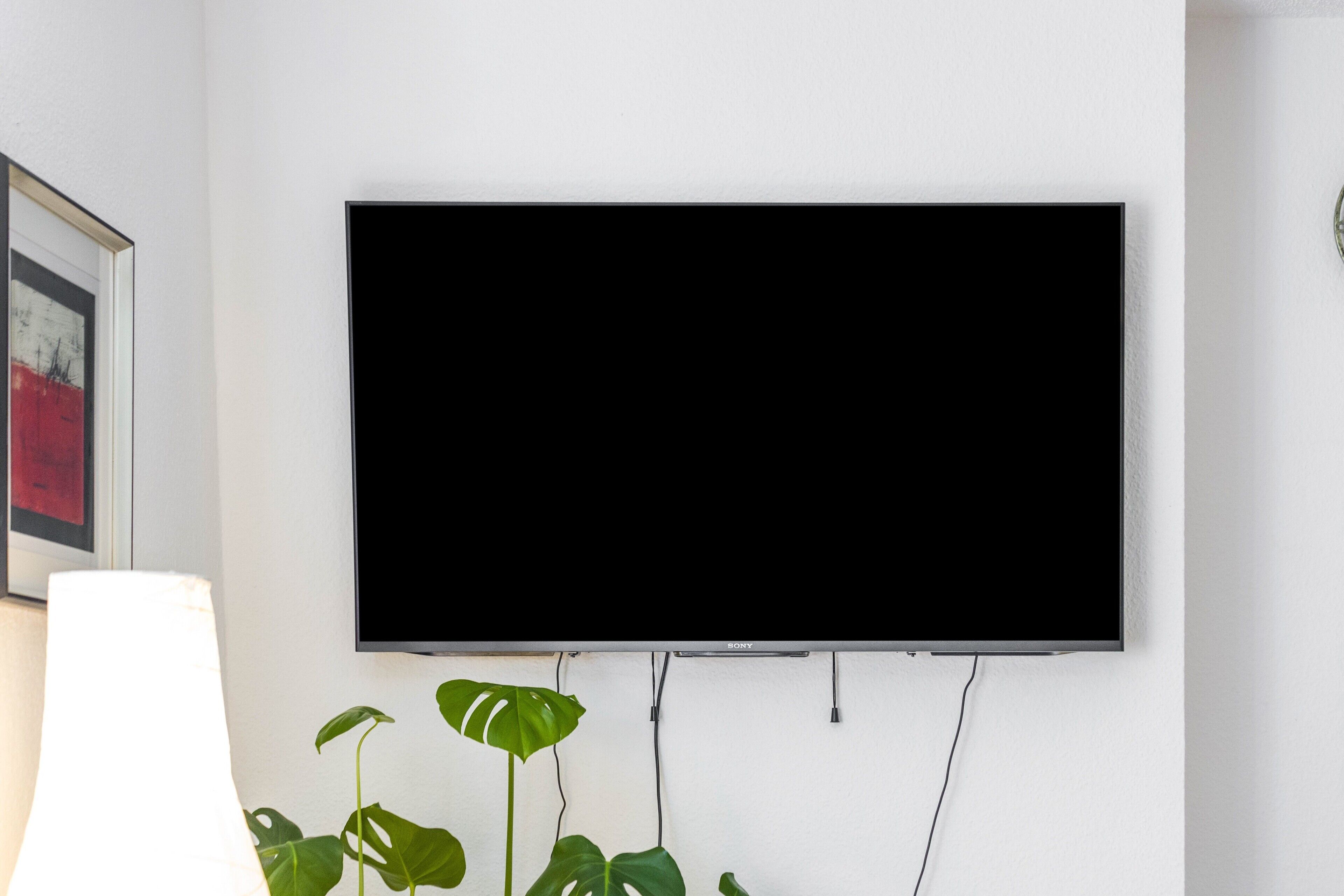 A flat-screen TV mounted on a white wall, a potted plant, and a framed picture.