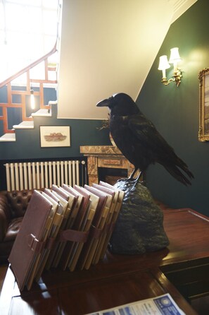 Interior - Hrafninn Guesthouse (Akureyri)