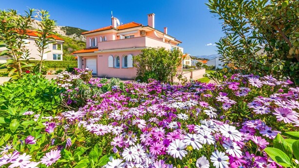 A pink house with a red roof, surrounded by a garden with purple and white flowers. - Newly decorated apartment in a quiet part of Baška (Baška)