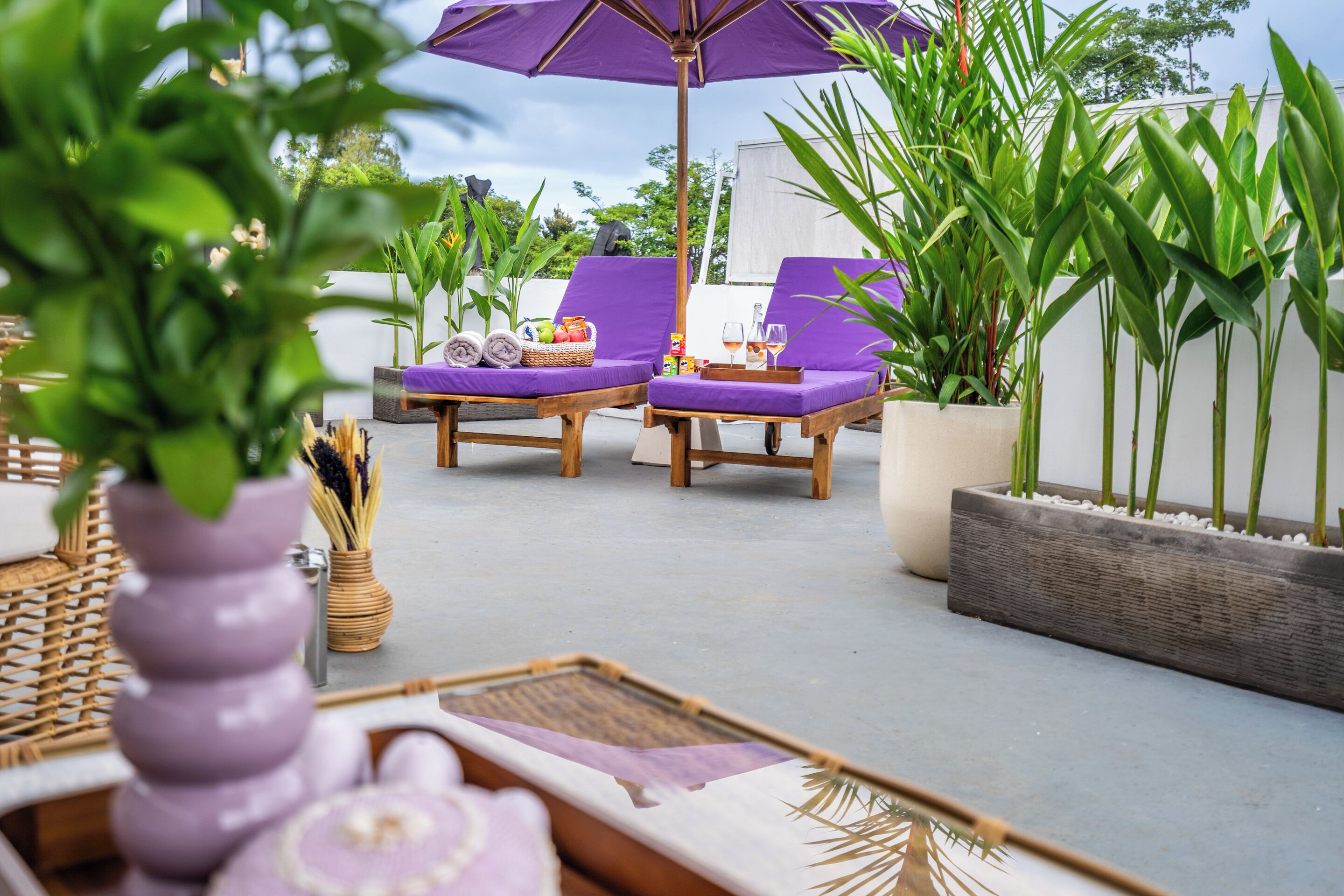 Khuôn viên nơi lưu trú