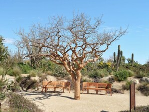Property grounds - Rancho Pescadero (El Pescadero)