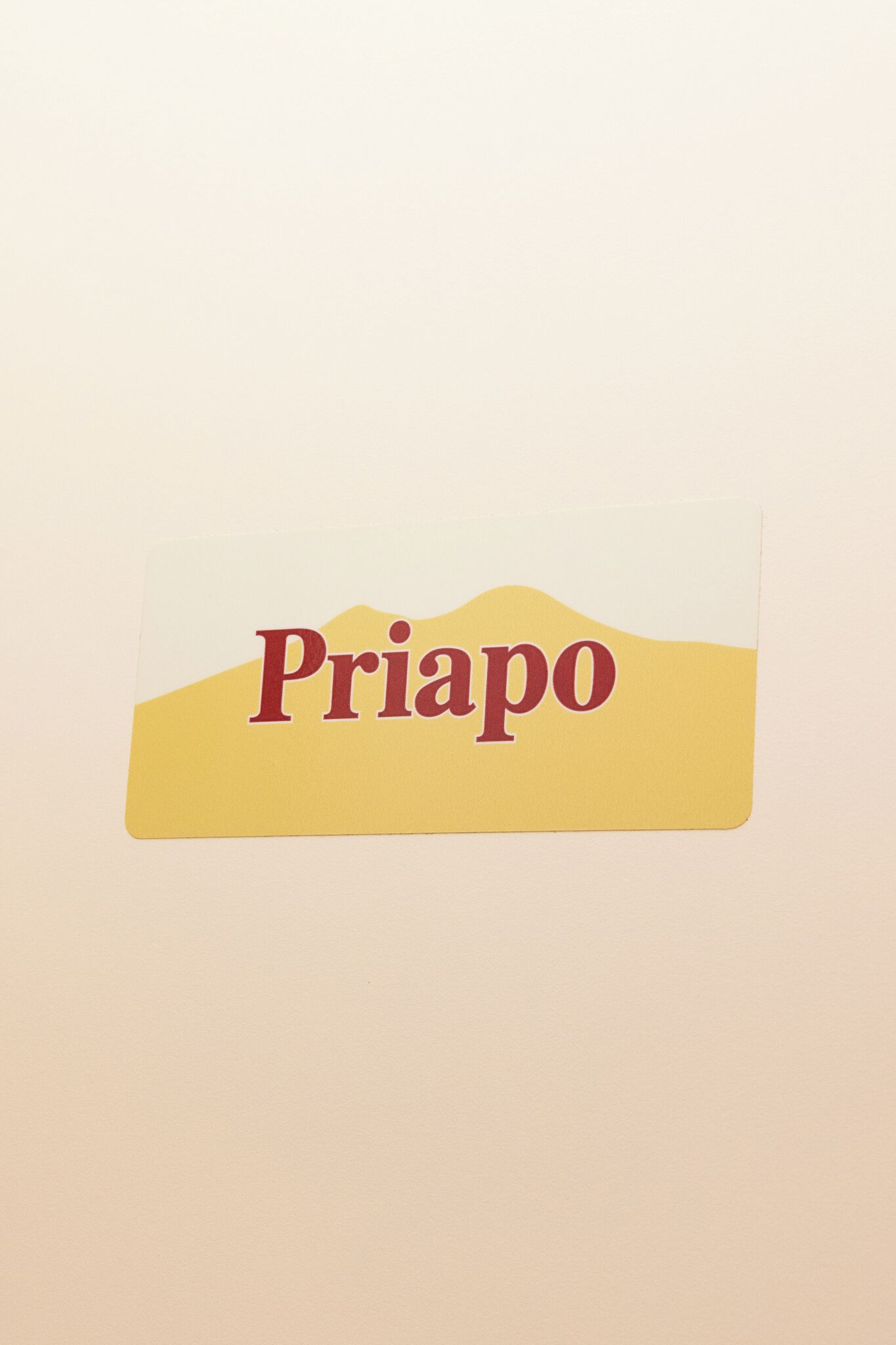 Un adhesivo con la palabra 'Pia' sobre un fondo liso.