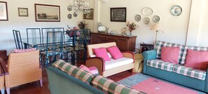 Smart TV, books, stereo - DREAM HOUSE at Douro Valley with river view at 30Kms of Porto (PENAFIEL)