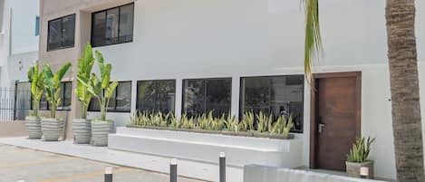 Jardin