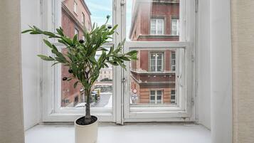 Classic Apartment, Courtyard View | View from room