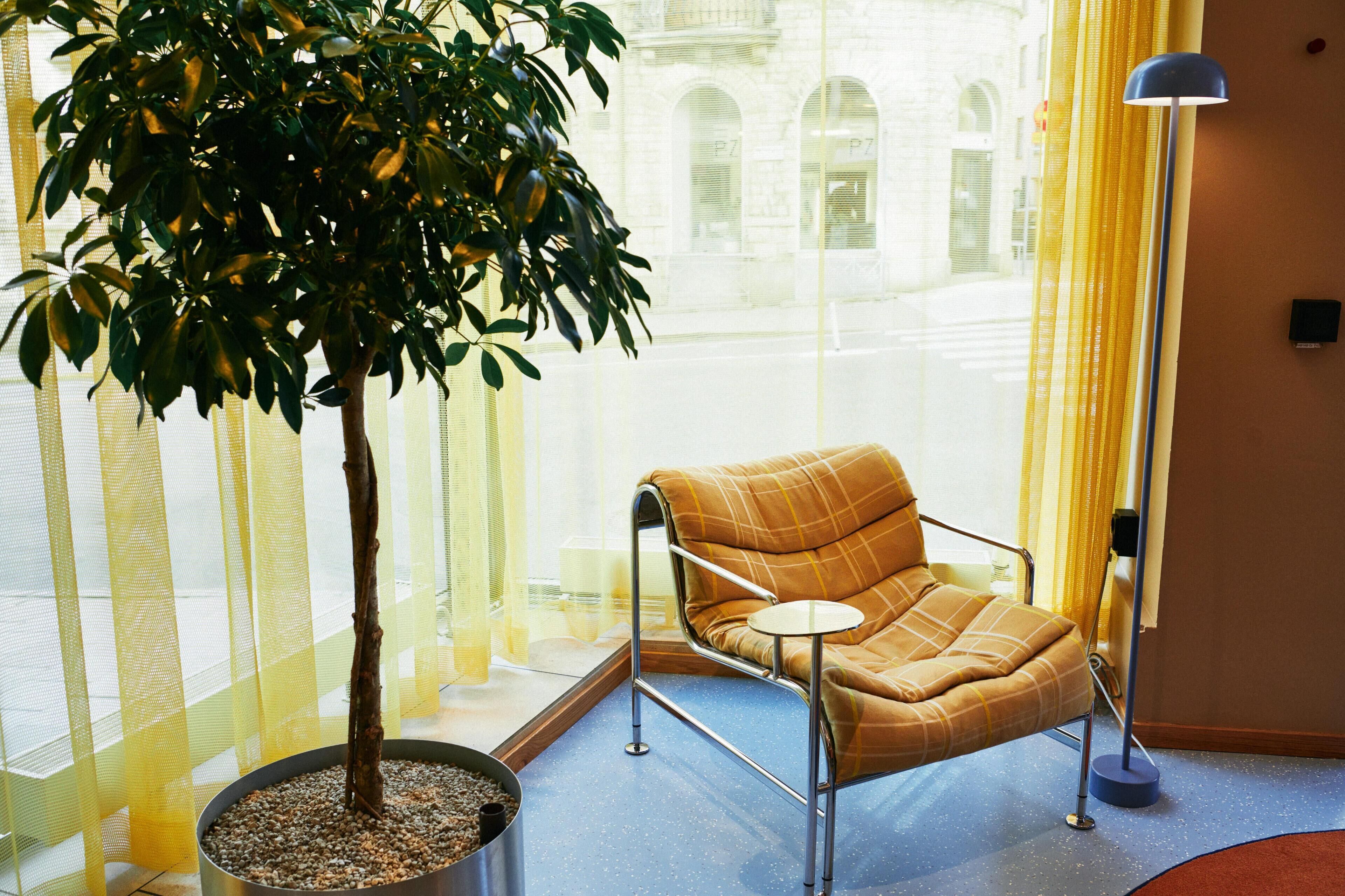 بار (في المنشاة)