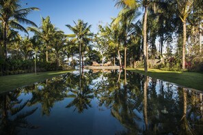 Área de piscina tranquila com palmeiras e reflexo límpido.