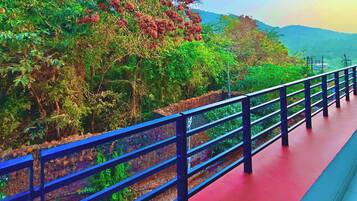 Terrein van de accommodatie